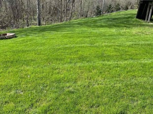 Martha M.'s Lawn Care service result