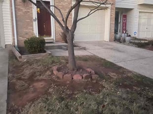 Sue P.'s Leaf Removal service result