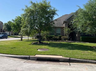 Victor R.'s Lawn Service service result