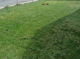 Aleta H.'s Lawn Service service result
