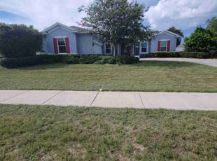 Craig L.'s Bush Trimming service result
