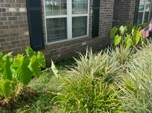 Weeding by Brandon Barthwell for Linda K. in Pensacola, FL