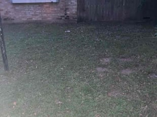Cleanups by Lindsey Balser for Kirsty E. in Houston, TX