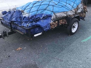 Cleanups by Kamonta Hackey for Leora K. in Silver Spring, MD