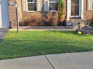 Stacie L.'s Lawn Mowing service result