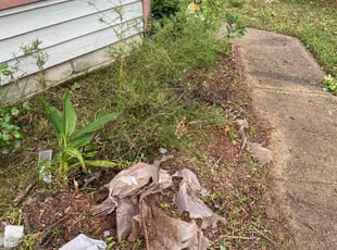 Weeding by Chris Beale for Monique I. in Virginia Beach, VA