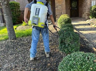 Weeding by Stephen Morales for Amanda I. in Richmond, TX