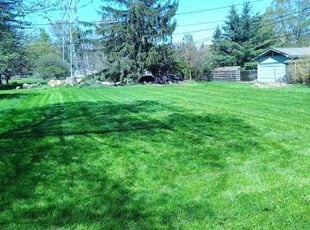 Tee P.'s Lawn Mowing service result