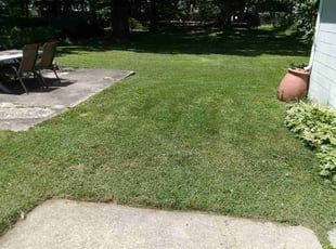Brenda H.'s Lawn Mowing service result
