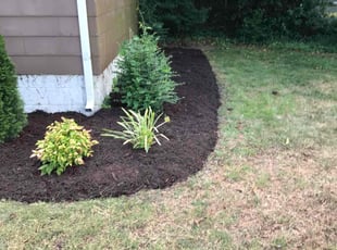 Sheila J.'s Mulching service result
