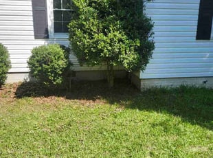 Taneesha G.'s Bush Trimming service result