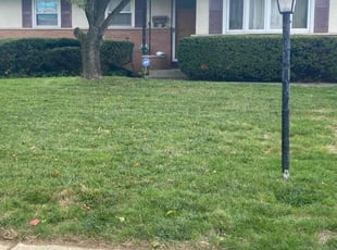 Bush Trimming by Buckeye Touch for Cindy A. in Columbus, OH
