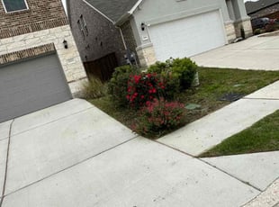 Bush Trimming by Dontrey Chambers for Scott E. in Pflugerville, TX