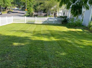 Dexter H.'s Lawn Mowing service result