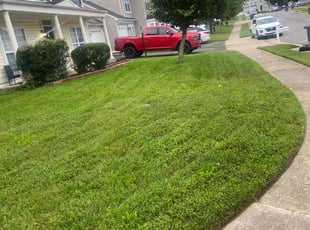 Edward J.'s Yard Cutting service result