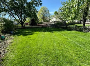 Joanjuan H.'s Lawn Care service result
