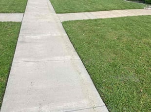 Michael M.'s Lawn Mowing service result