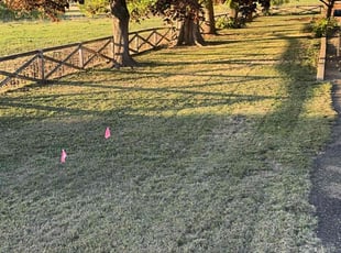 Ahna S.'s Lawn Maintenance service result