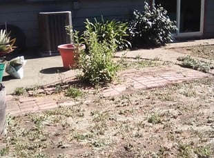 Dennis J.'s Cleanups service result