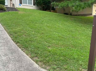 Shannon G.'s Lawn Service service result