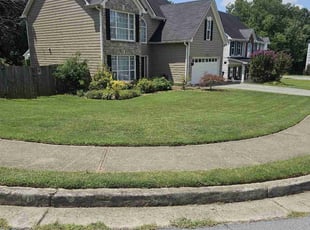 Talab A.'s Lawn Mowing service result