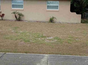 Weeding by Shane Ray for Renee D. in Titusville, FL