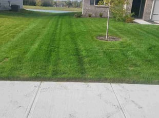 Kamaldaye M.'s Lawn Mowing Service service result