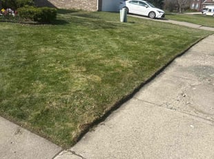Carole L.'s Grass Cutting service result
