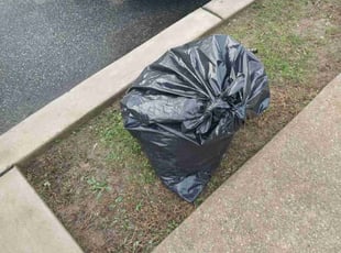 Cleanups by Eileen Hirschman for Lisa C. in Yeadon, PA