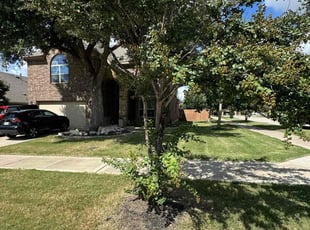 Pamela T.'s Lawn Service service result