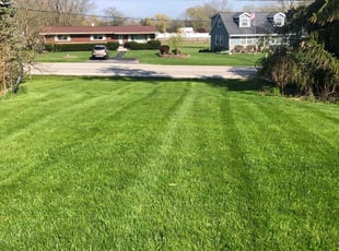 Caron S.'s Lawn Service service result