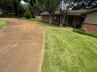 Weeding by Jordan Williams for Kendall S. in Memphis, TN