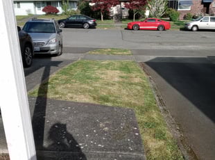 Cleanups by Wendy Crawford for Jon C. in Tacoma, WA