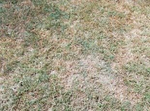 Cleanups by Ron & Marie Gray for Brian Y. in San Antonio, TX