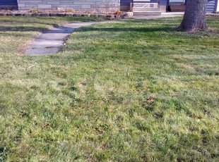 Leaf Removal by Jeffrey Spears for True N. in Minneapolis, MN