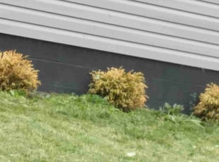 Bush Trimming by Ammaar Abdul-Salaam for Avery B. in Columbus, OH
