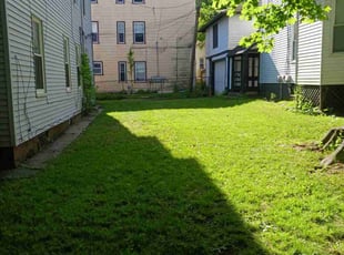 Carissa D.'s Lawn Care service result
