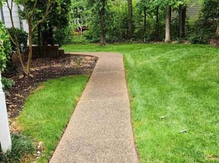 Valerie G.'s Lawn Care service result