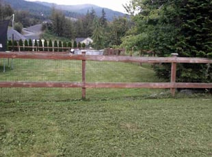 Patrick S.'s Lawn Care service result