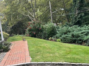 Sarah N.'s Grass Cutting service result
