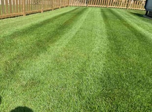 Deb D.'s Lawn Mowing Service service result