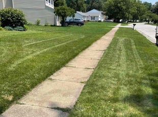 Rama B.'s Lawn Mowing Service service result