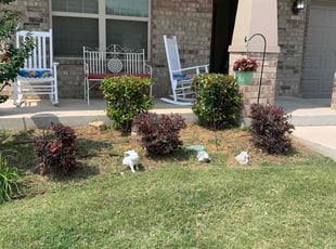 Bush Trimming by Samuel Fogg for Karen L. in Denton, TX