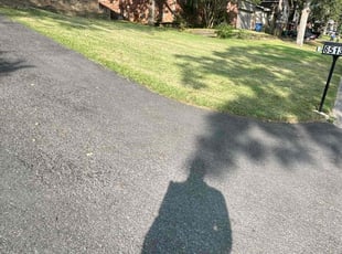 Derek S.'s Lawn Mowing service result