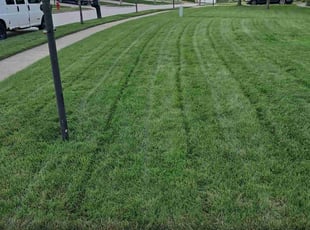 Mike H.'s Lawn Mowing Service service result