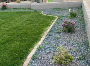 Weeding by Isaac Jimenez for Hannah A. in Phoenix, AZ