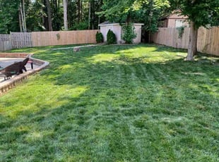 Jill K.'s Lawn Care service result