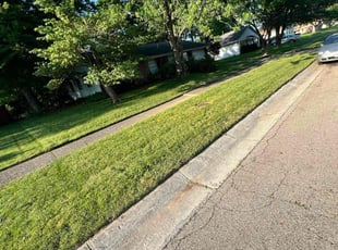 William B.'s Grass Cutting service result