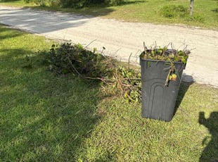 Bush Trimming by Gabriel Morales for Doritha I. in DeLand, FL