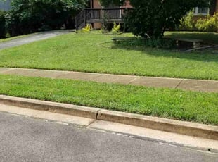 Wayne S.'s Lawn Maintenance service result